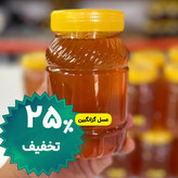 عسل طبیعی گزانگبین ساکارز زیر یک درصد یک کیلویی ( مستقیم از زنبوردار) ارسال رایگان