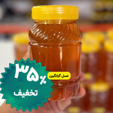 عسل طبیعی گزانگبین ساکارز زیر یک درصد یک کیلویی ( مستقیم از زنبوردار) ارسال رایگان