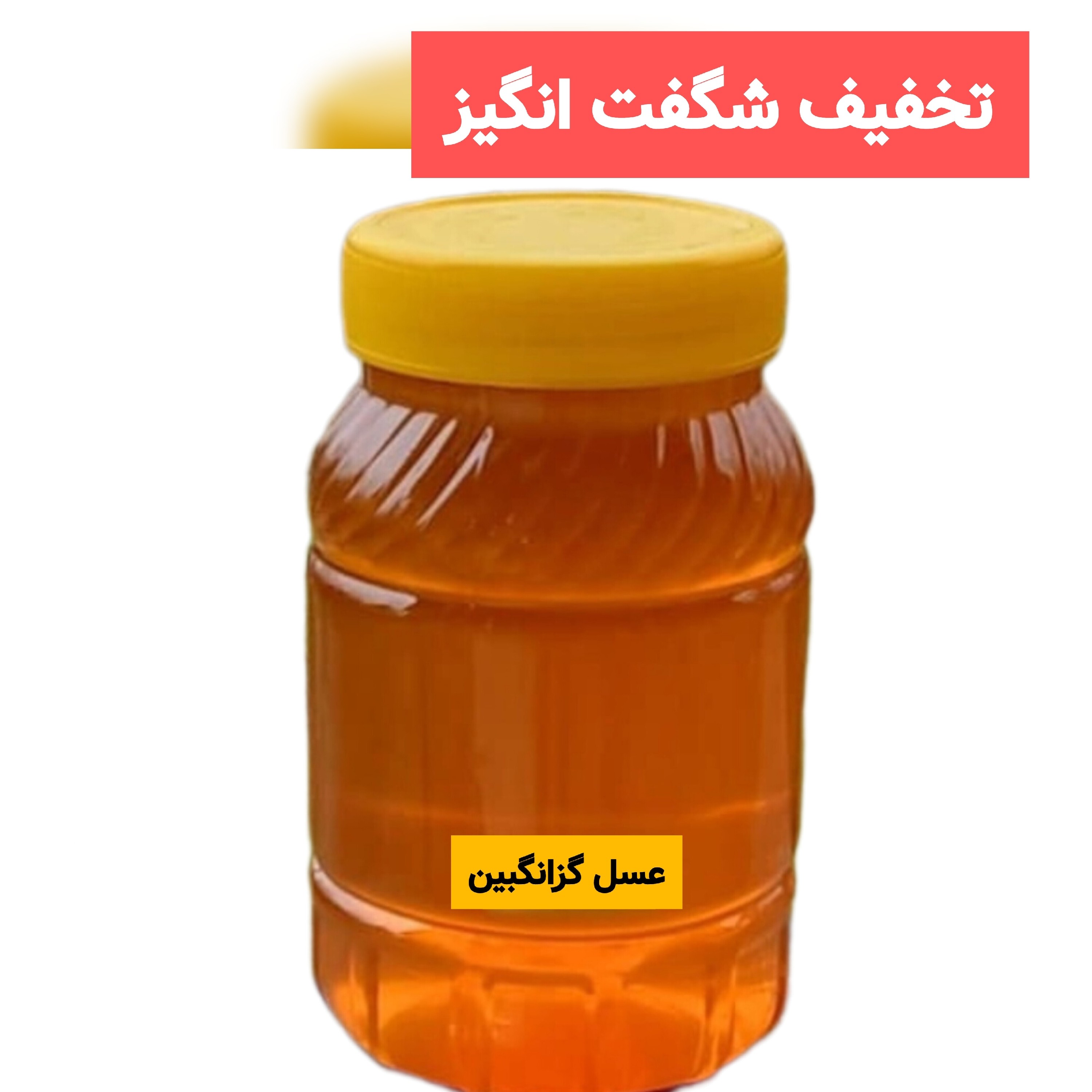 عسل طبیعی گزانگبین ساکارز زیر یک درصد یک کیلویی ( مستقیم از زنبوردار) ارسال رایگان