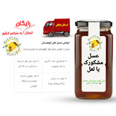 عسل درمانی لعل کوهستان مشکورک فوق ارگانیک خام ساکارز 1 درصد(مستقیم از زنبوردار)ارسال رایگان