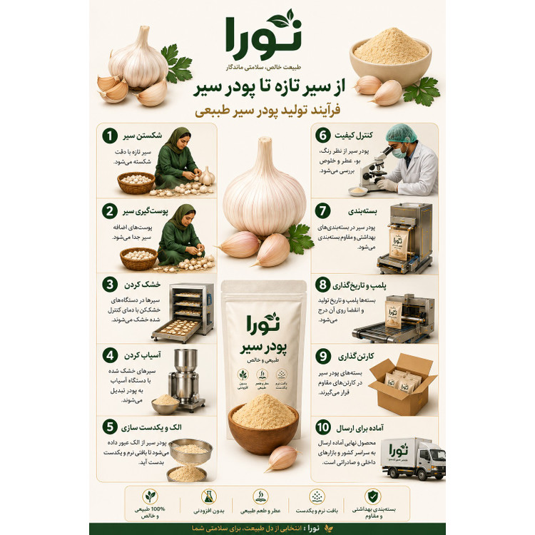 پودر سیر ممتاز خالص نورا فود 100 گرمی
