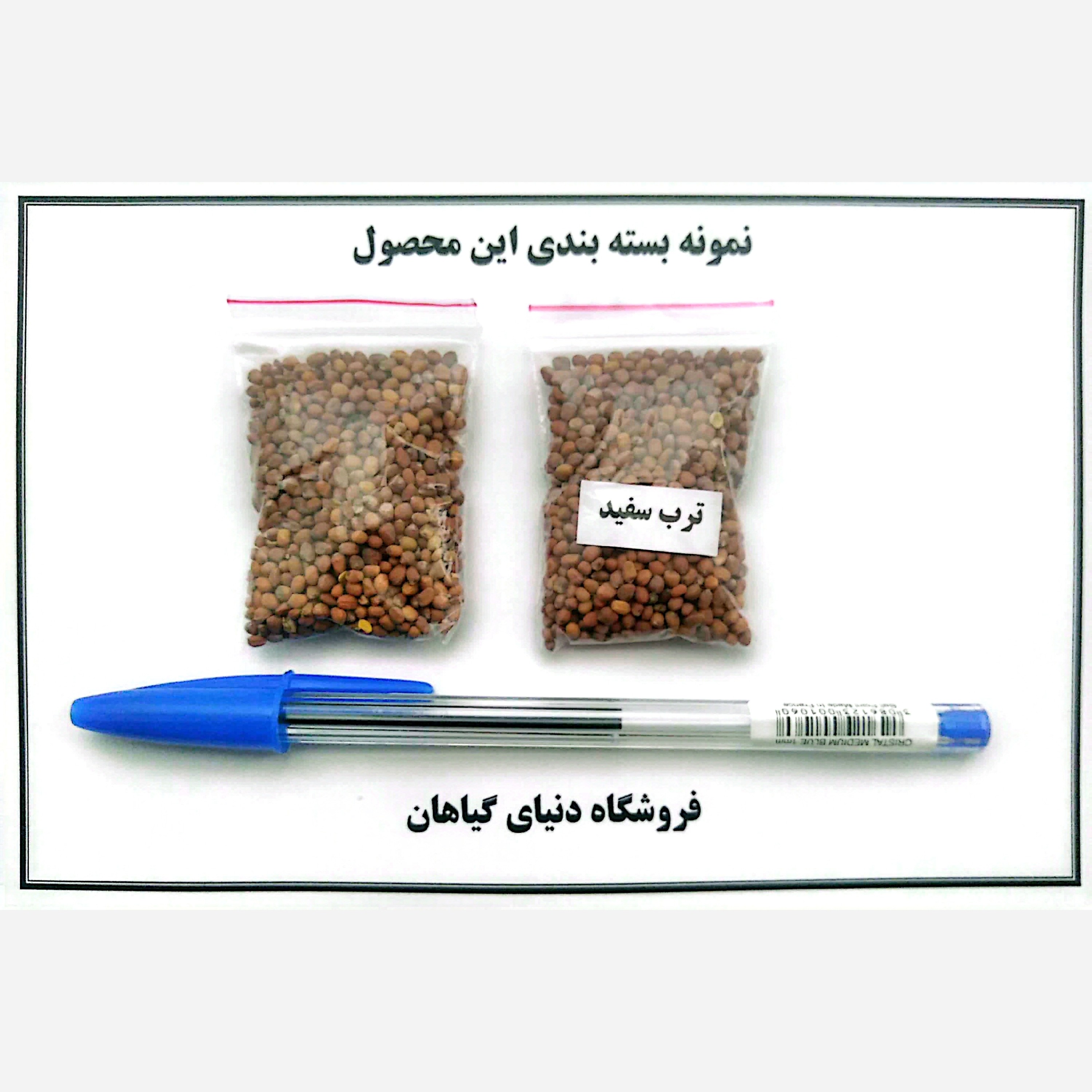 بذر ترب سفید (500 عدد)