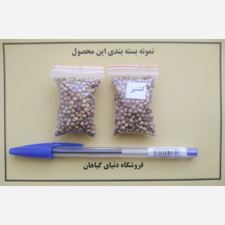 بذر گشنیز معطر (500 عددی)
