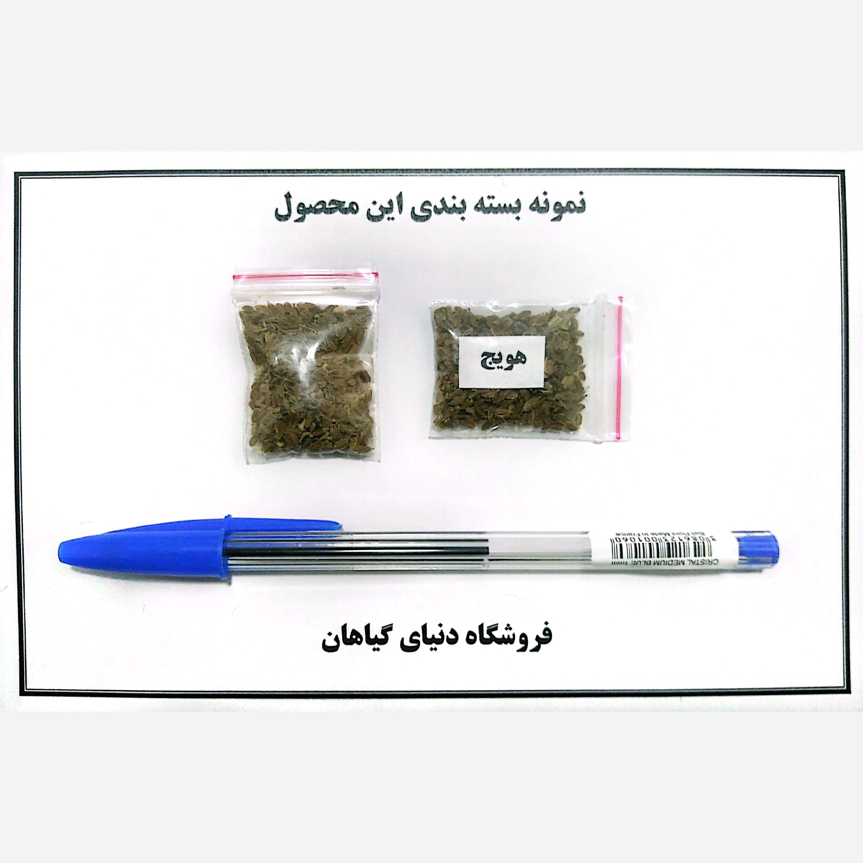 بذر هویج (500 عدد)