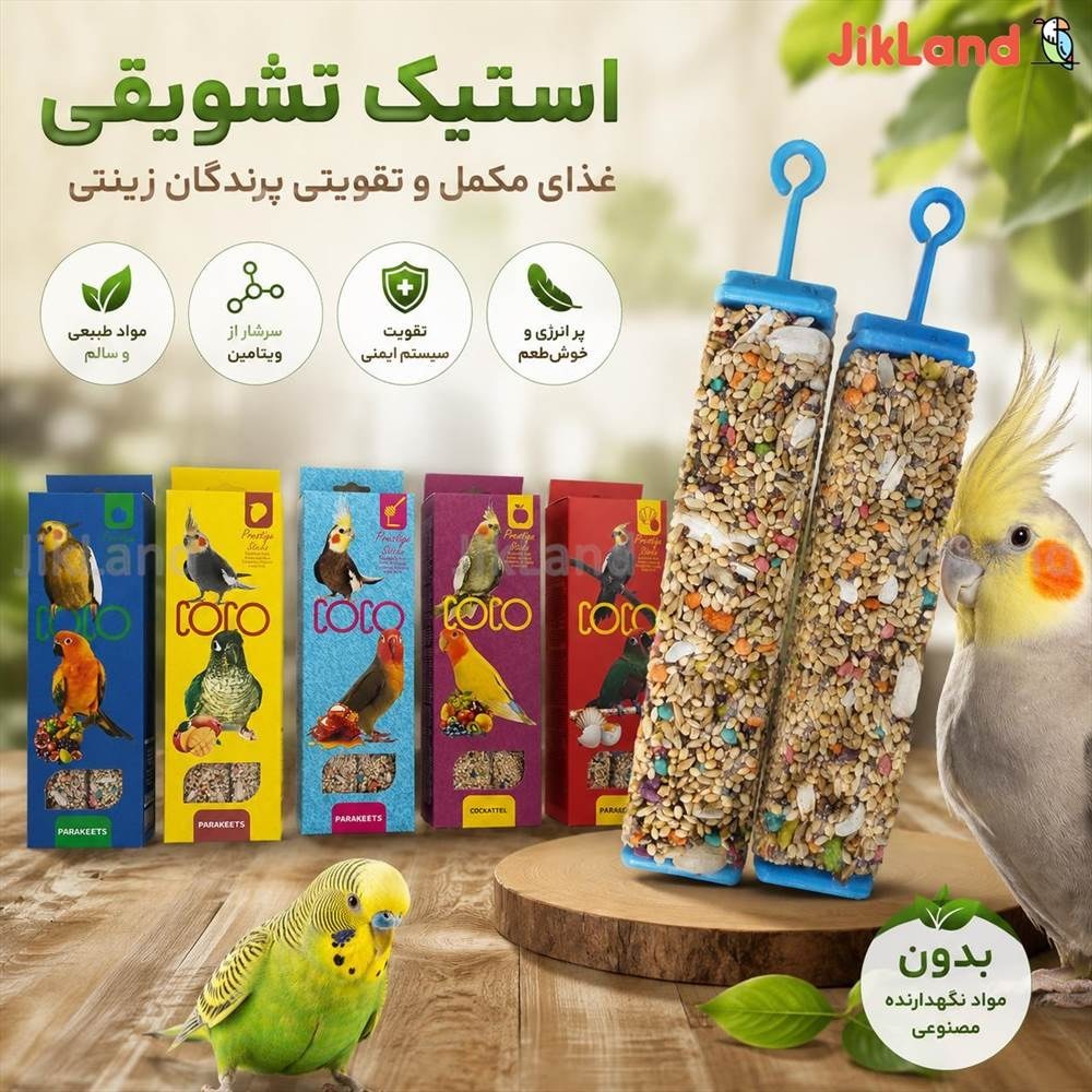 تشویقی عروس هلندی و طوطی ها - استیک عسلی - دوقلو برند کوکو (بهترین تشویقی)