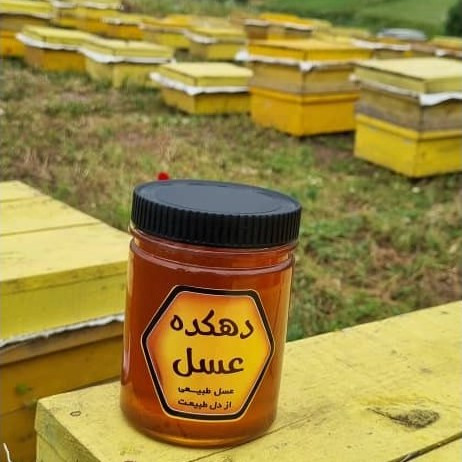 عسل آویشن ناب و دیابتی یک کیلویی ارسال رایگان
