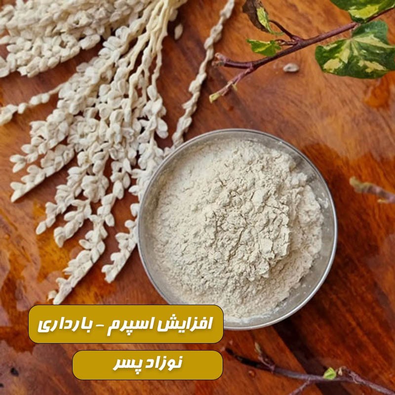 گرده نر نخل(گرده لقاح،گرده خرما)مسالی با ضمانت+ اقتصادی