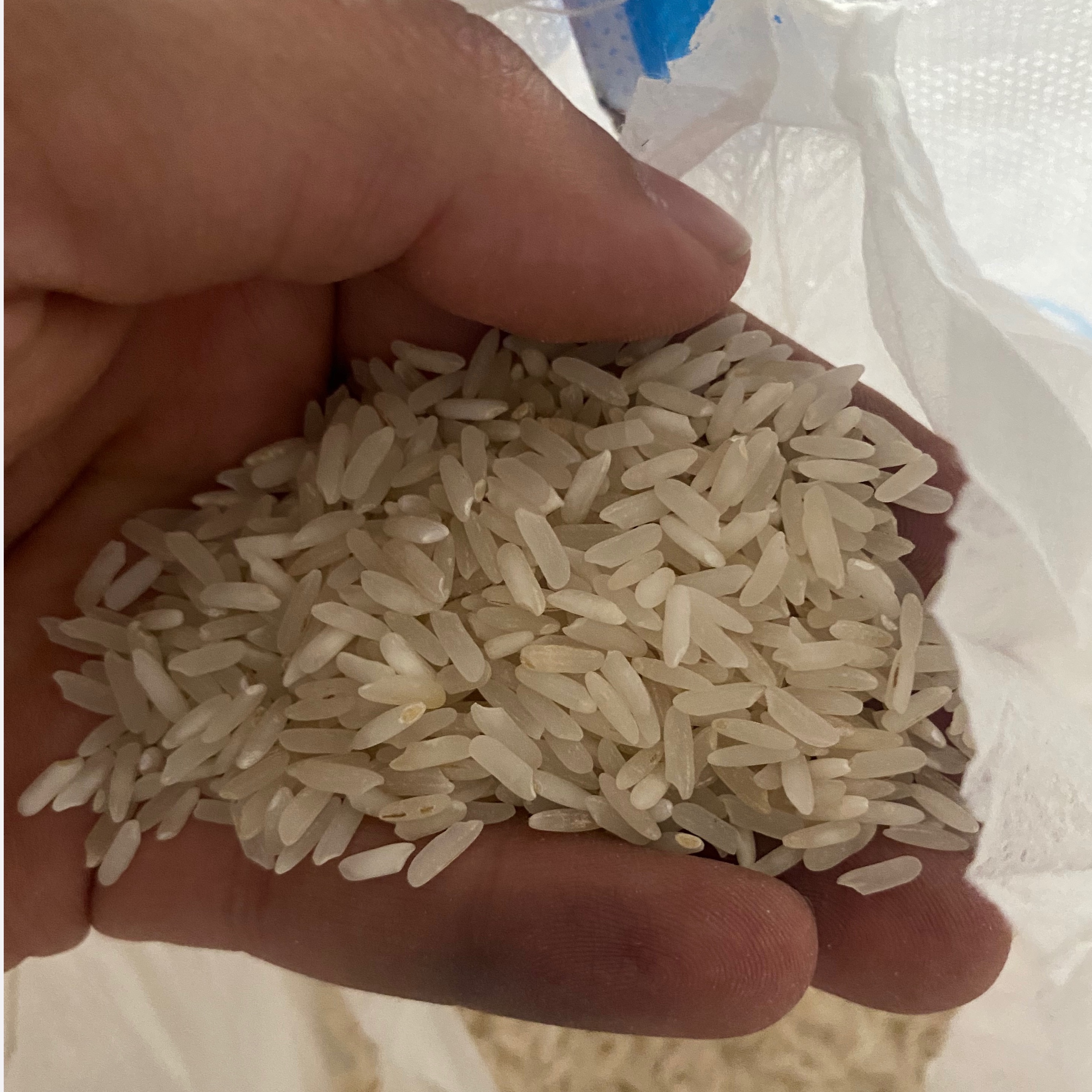 برنج پاکستانی 10 کیلویی برند سبوس دانه