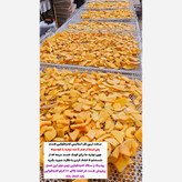 سویق پودینگ کدو حلوایی.