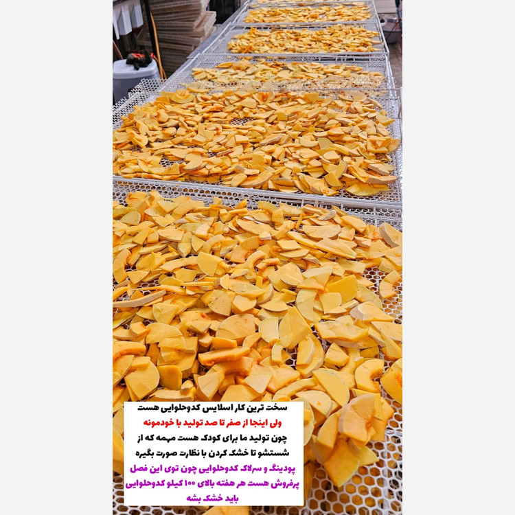 سویق پودینگ کدو حلوایی.
