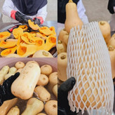 سویق پودینگ کدو حلوایی.