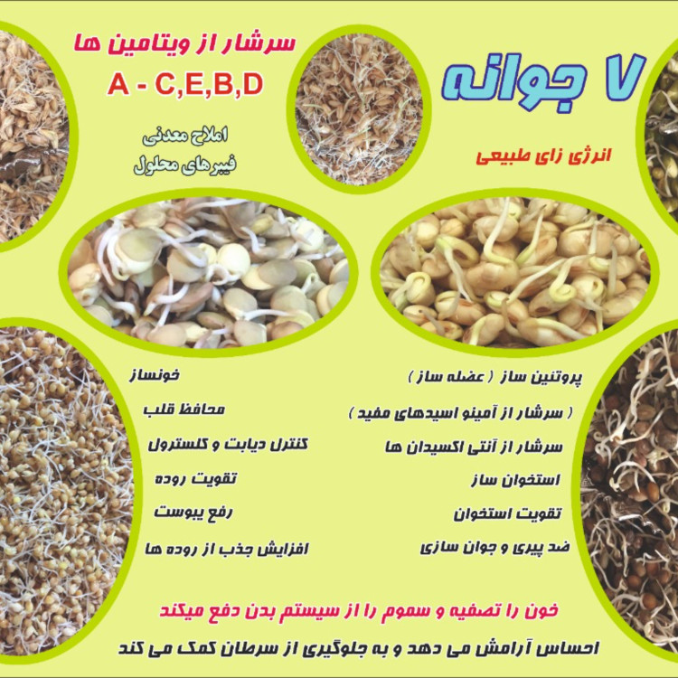 سویق استخوان ساز (5ستاره ) 200گرمی