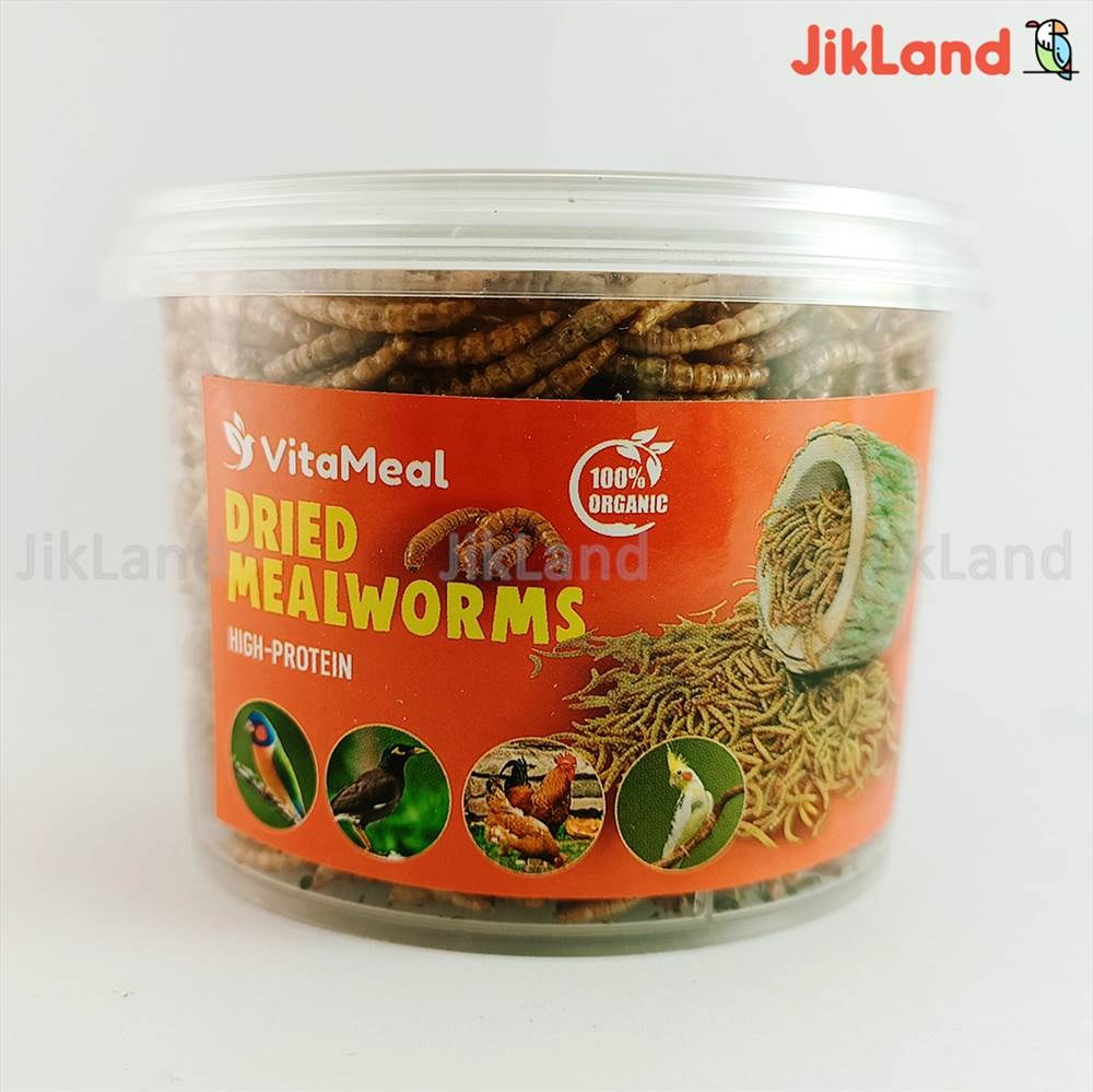 کرم میلورم -میل ورم -MealWorm مکمل تقویتی پرندگان و ماهی ها