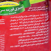 سبزی قورمه سرخ شده از برند دلسان .آماده طبخ مناسب برای پخت غذای 8 نفر