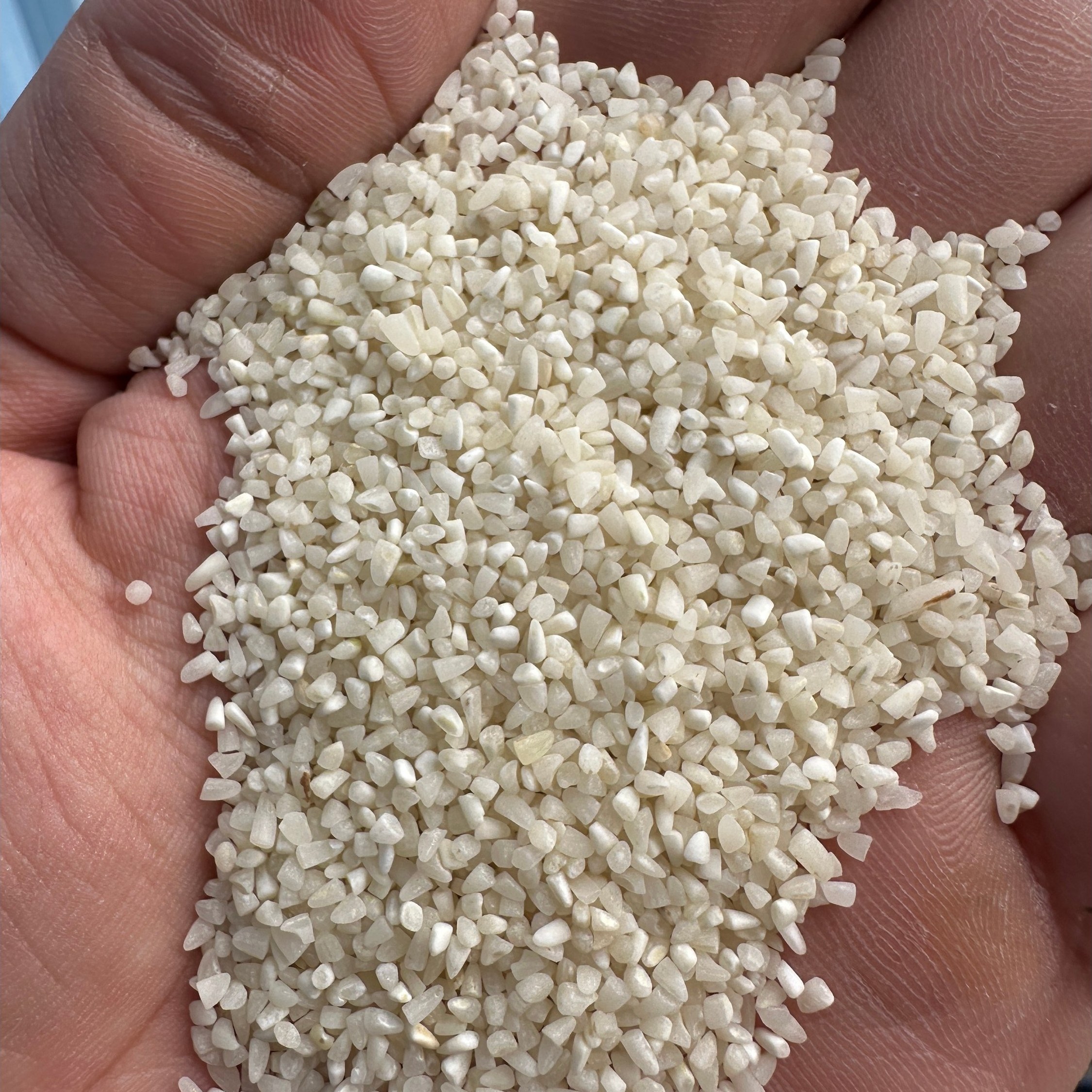 برنج ریزدانه (خرده برنج) معطر زرین خوشه طبرستان (ناریوران) ارسال رایگان