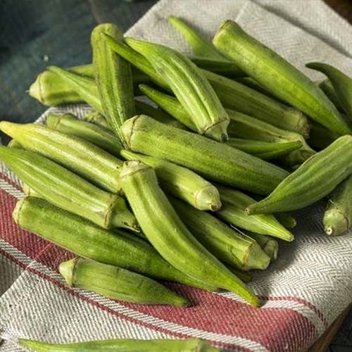 بذر بامیه اهوازی پربار (10 عدد)