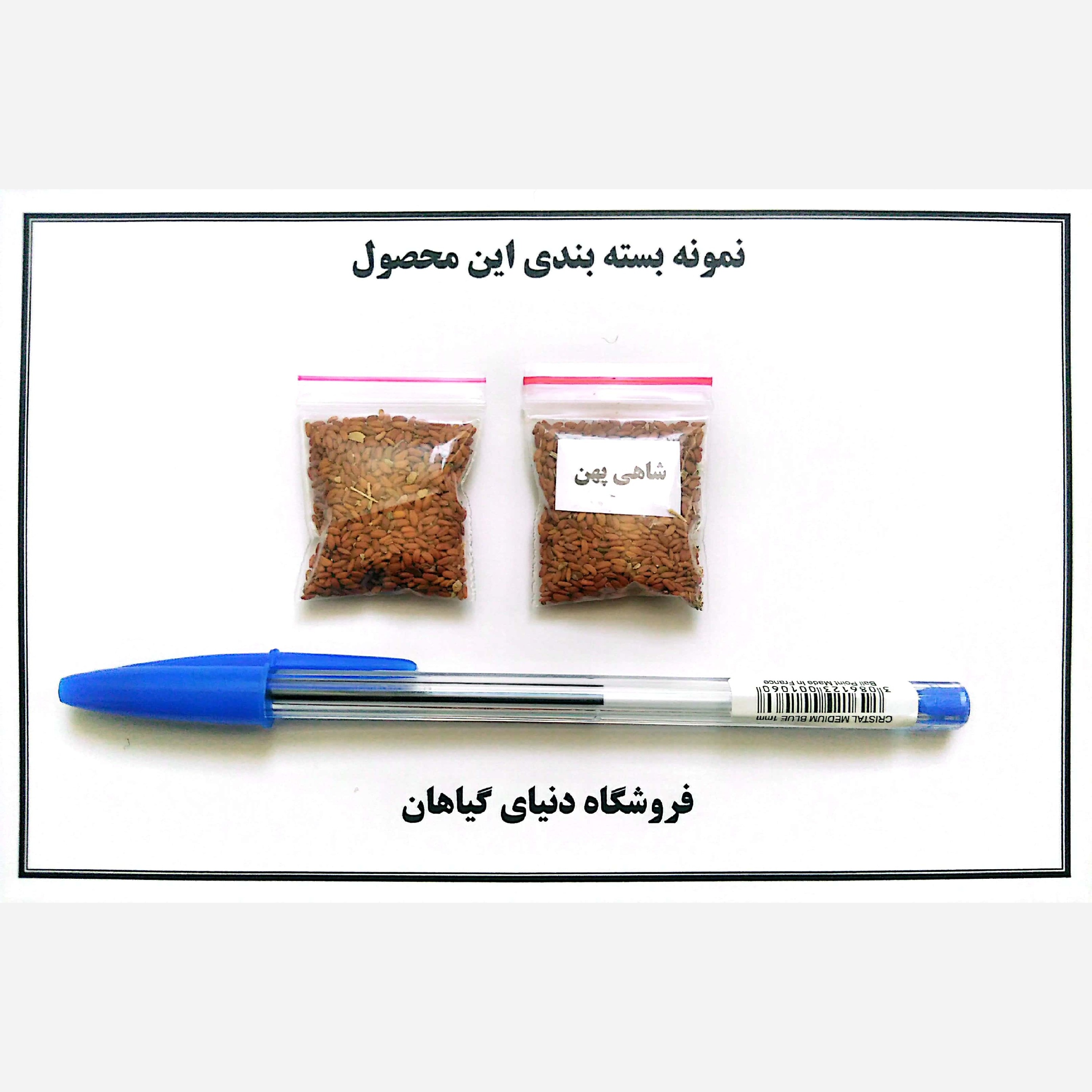 بذر شاهی برگ پهن(1000 عدد)