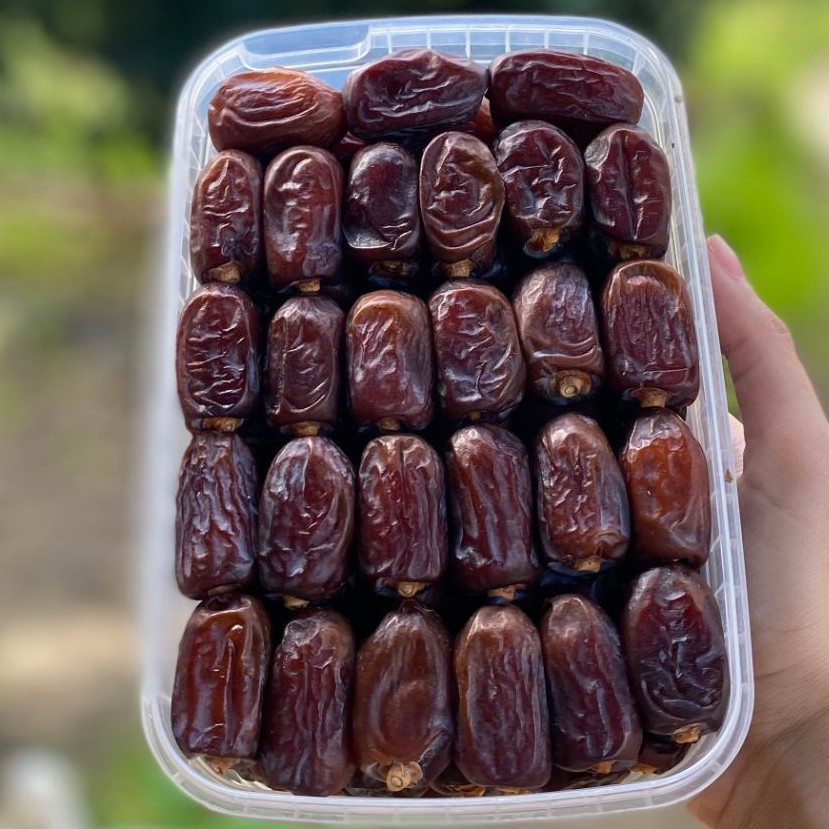 خرما کلوته نوبر برداشت مرداد 405 ارسال سریع