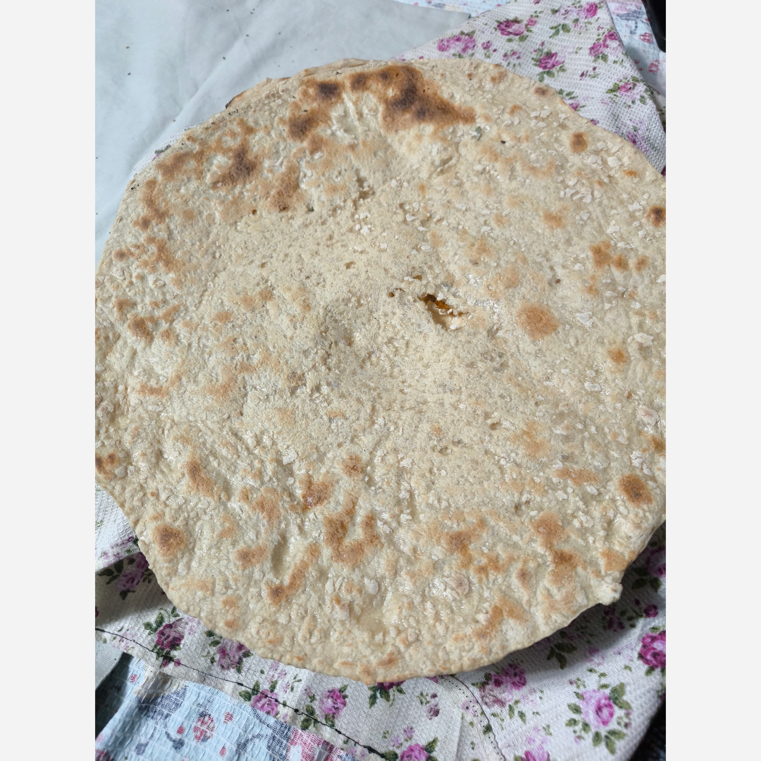 تنور گازی خانگی صدفی