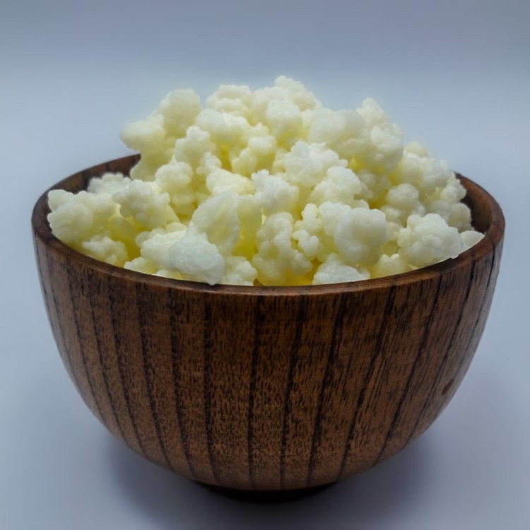 قارچ کفیر قفقازی فعال (50 گرمی) همراه یک بطری دوغ کفیر 300 میلی ومشاوره و آموزش رایگان کشک کفیر و ماست کفیر