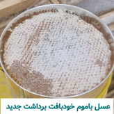عسل باموم خودبافت برداشت جدید یک کیلویی ( خرید از زنبوردار)