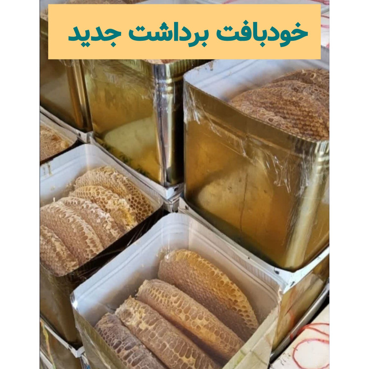 عسل باموم خودبافت برداشت جدید یک کیلویی ( خرید از زنبوردار)