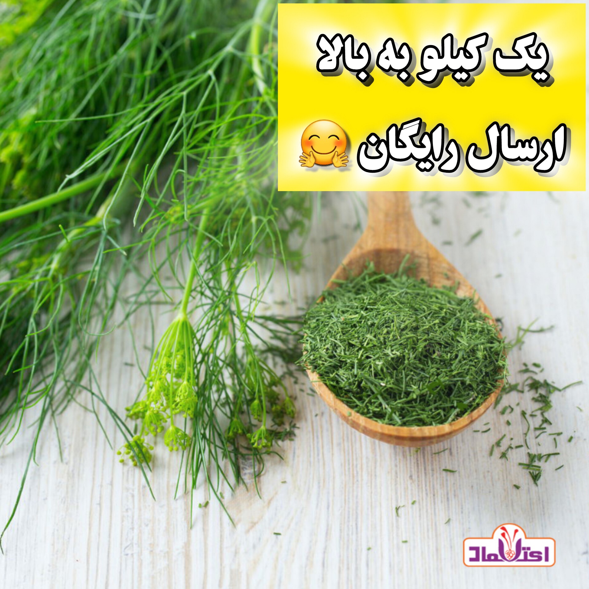 شوید خشک سبز اعلا یک کیلویی اعتماد تازه(سبزی شوید)