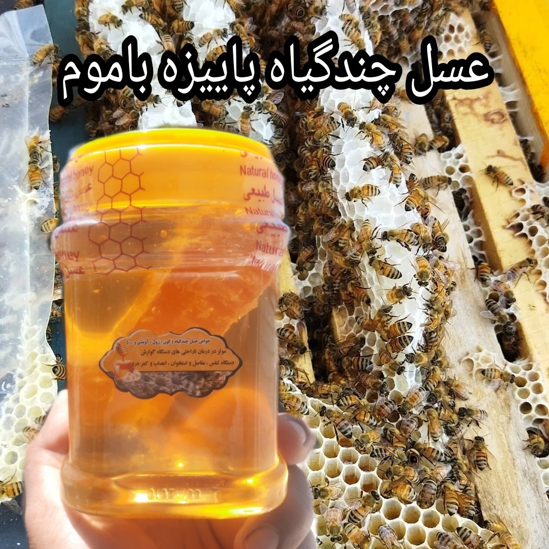 عسل چندگیاه پاییزه 1کیلویی باموم ممتاز فریدن(ارسال رایگان به شهرستان فریدن)