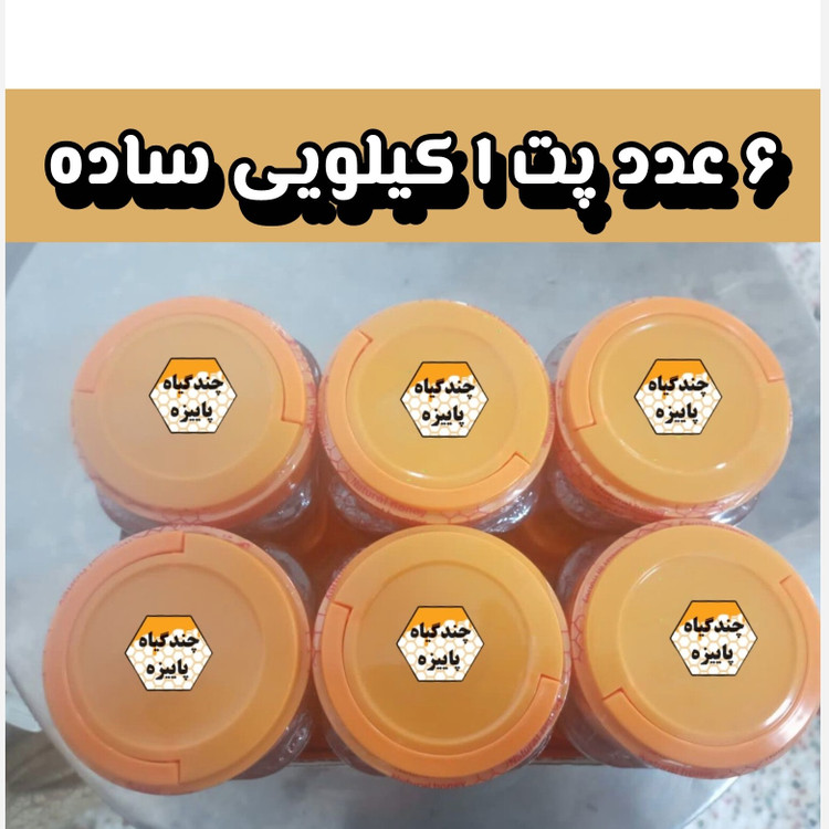 پک 6 کیلویی عسل چندگیاه پاییزه فریدن درجه یک.دشتی.خرید مستقیم از زنبوردار(ارسال رایگان)