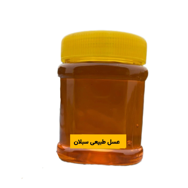 عسل طبیعی سبلان (نیم کیلویی)خرید از زنبوردار