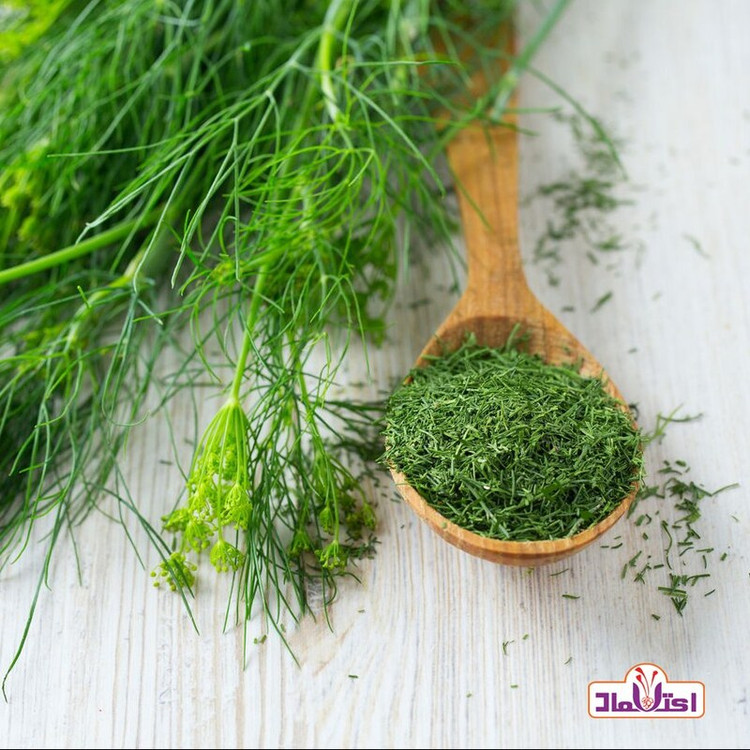 شوید خشک سبز اعلا 250 گرمی تازه(سبزی شوید)