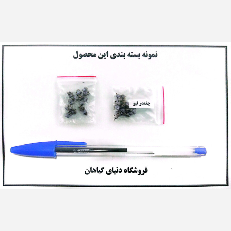بذر لبو سرخ (10 عدد)