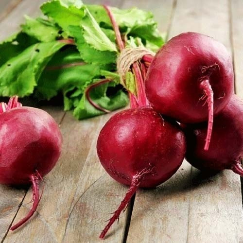 بذر لبو سرخ (10 عدد)