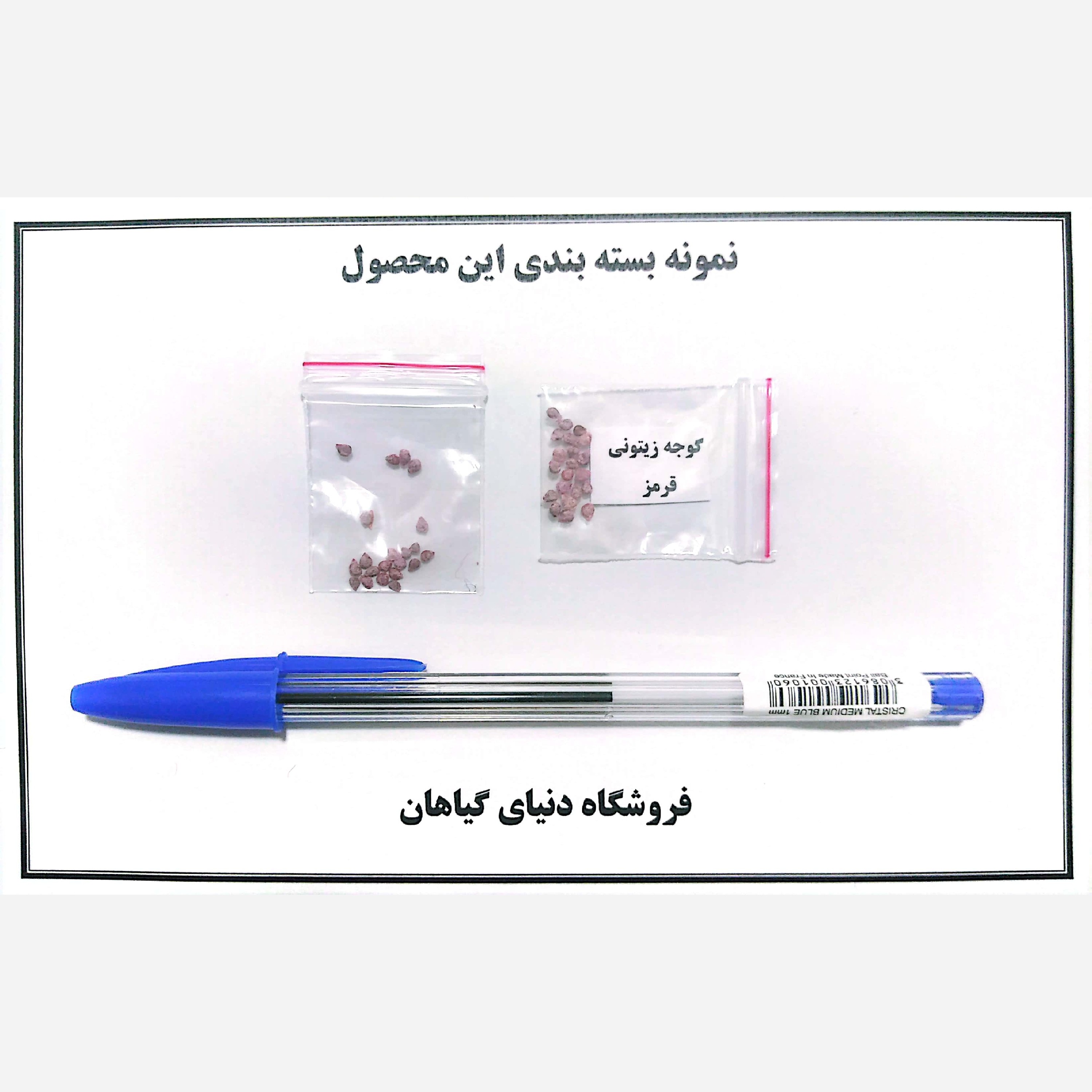 بذر گوجه زیتونی قرمز(10 عددی)