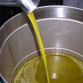 روغن زیتون تازه پرس سرد فرابکر (5 لیتری ) آخر فصل با بوی ملایم و بدون تلخی مستقیم از باغدار شهرستان طارم