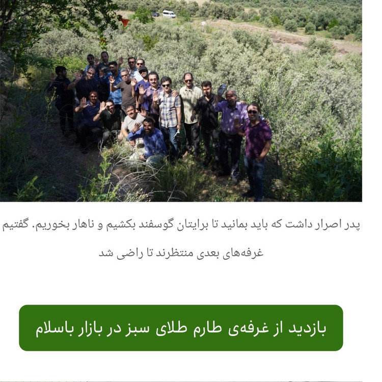 روغن زیتون تازه پرس سرد فرابکر (5 لیتری ) آخر فصل با بوی ملایم و بدون تلخی مستقیم از باغدار شهرستان طارم