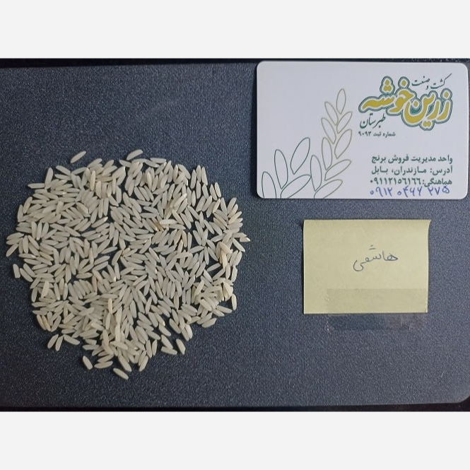 برنج طارم هاشمی زرین خوشه طبرستان(ناریوران) ارسال رایگان
