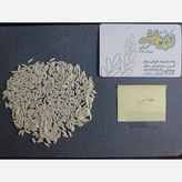برنج طارم هاشمی زرین خوشه طبرستان(ناریوران) ارسال رایگان