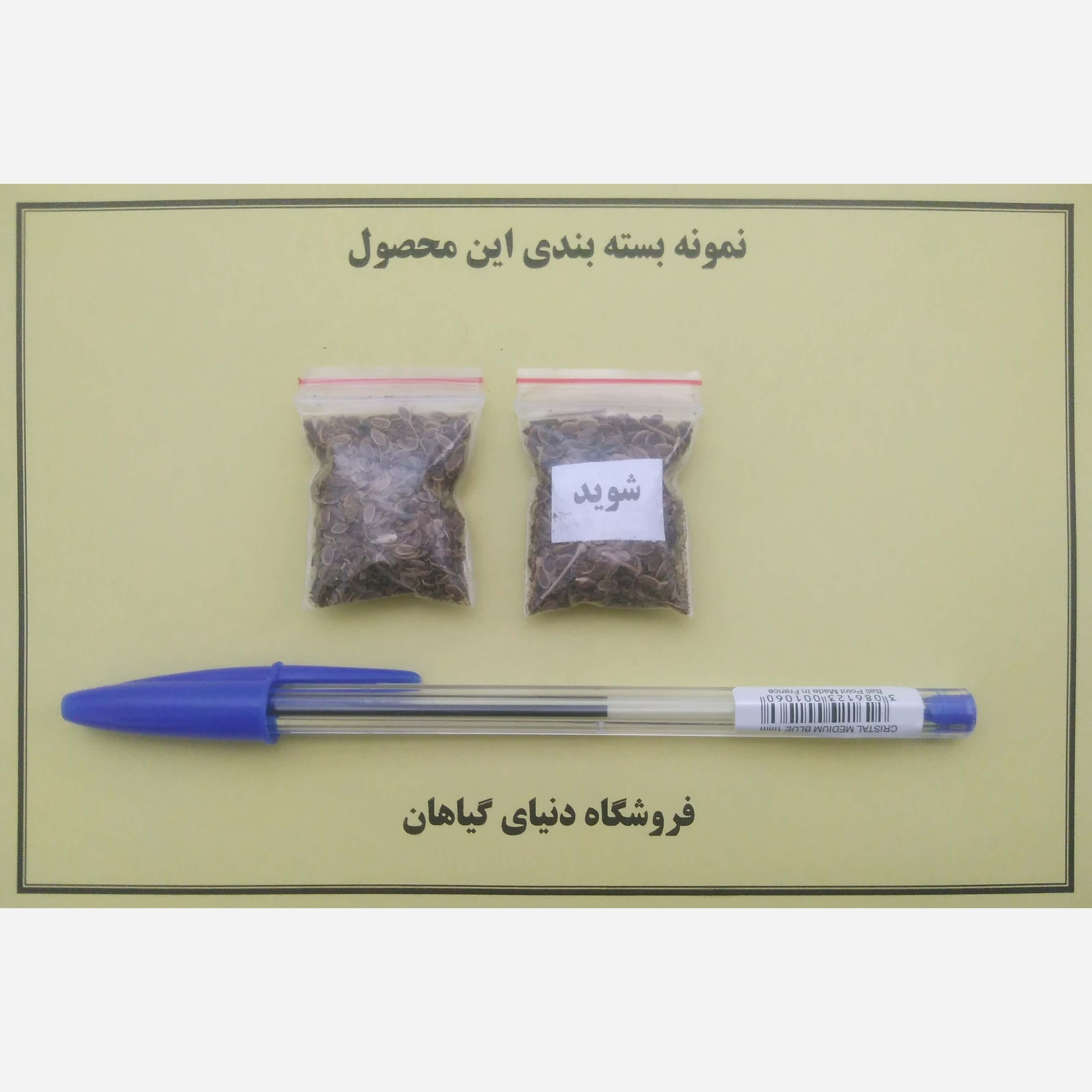 بذر شوید (500 عدد)