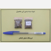 بذر شوید (500 عدد)