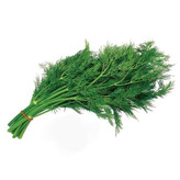 بذر شوید (500 عدد)