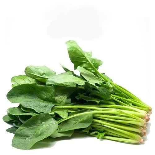 بذر اسفناج (300 عدد)