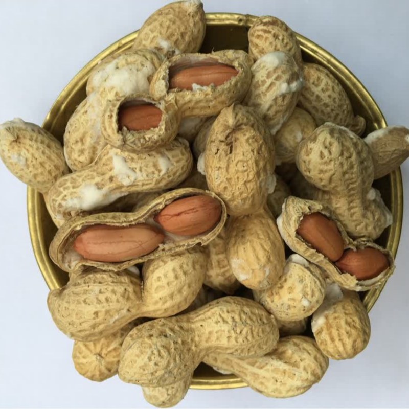 بادام زمینی با پوست نمکی استانه 1000گرم (پوست چوبی)