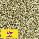 تخم گشنیز اعلا مشرق زمین 500 گرم دانه گشنیز
