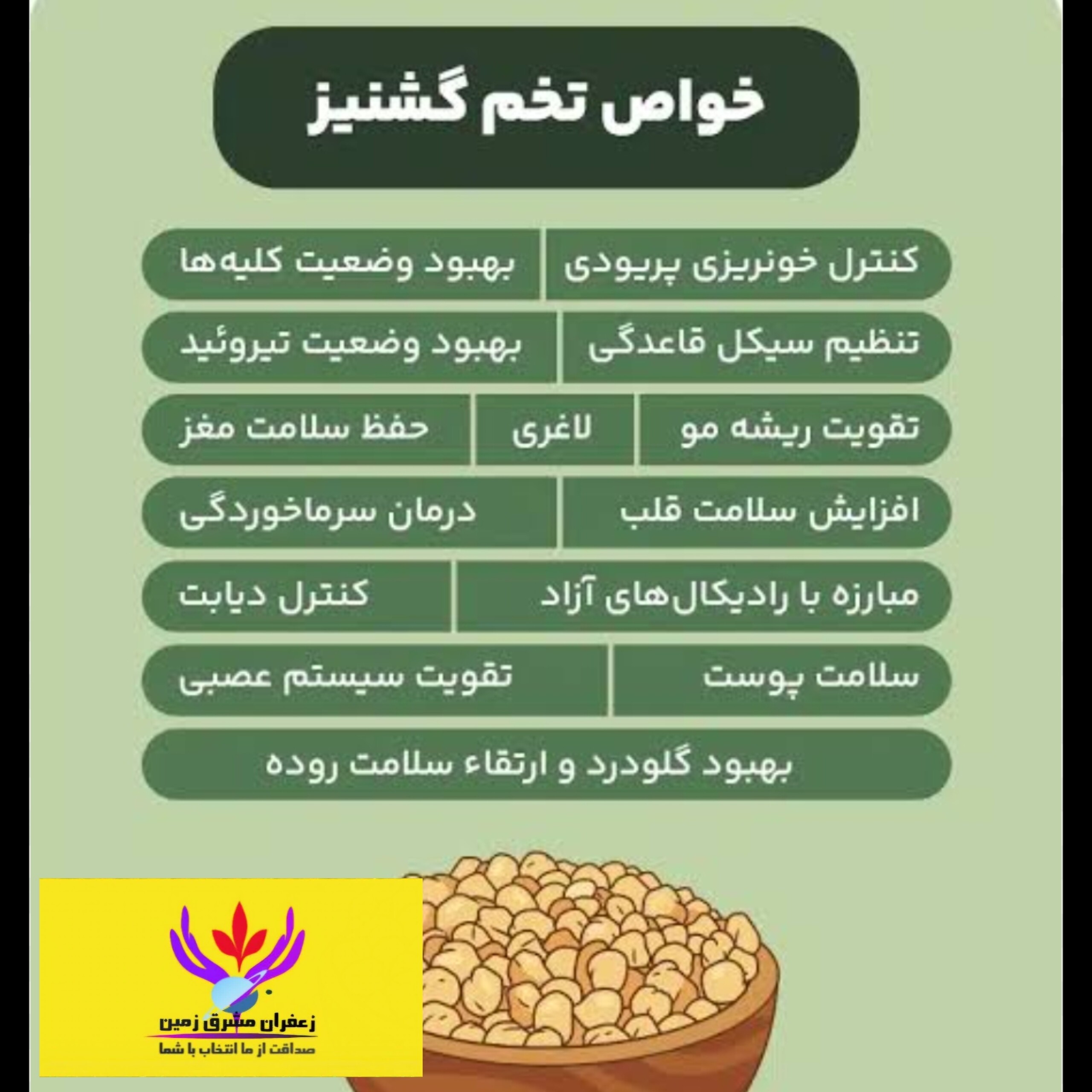 تخم گشنیز اعلا مشرق زمین 500 گرم دانه گشنیز