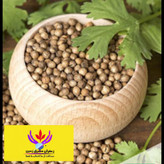 تخم گشنیز اعلا مشرق زمین 500 گرم دانه گشنیز