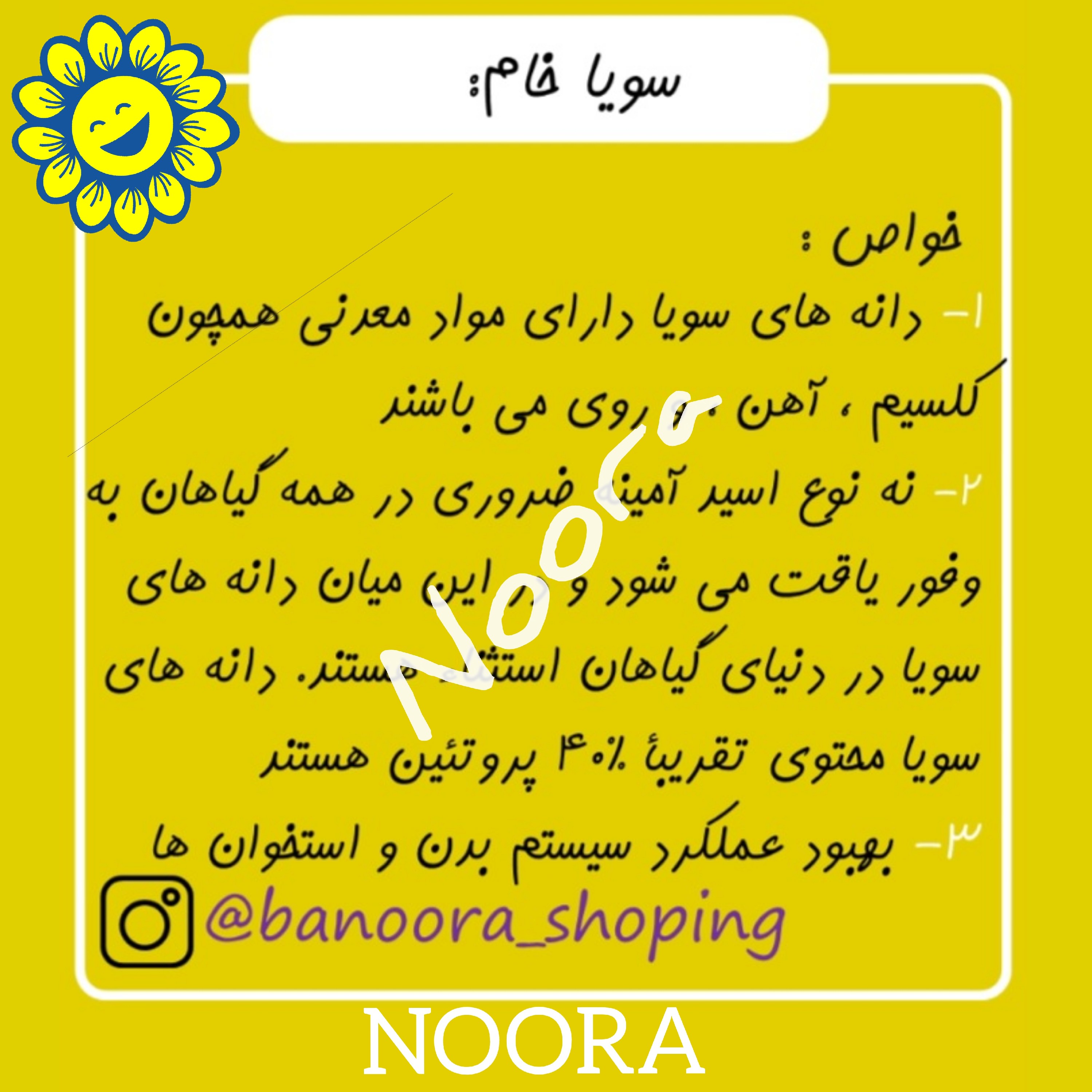 لوبیا سویا خام( دانه سویا خام ) سویاخام 1 کیلویی نورا