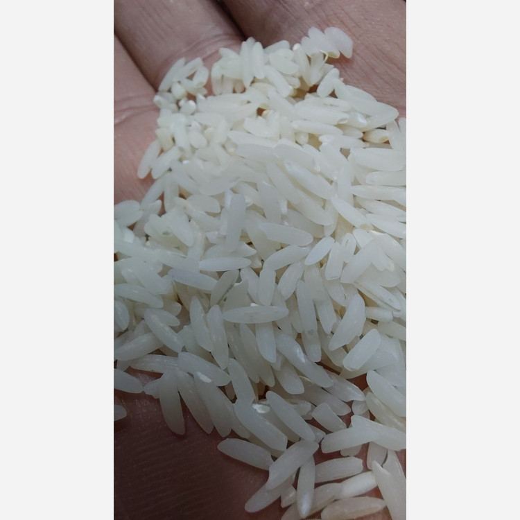 برنج هاشمی امسالی 5 کیلو ارسال رایگان