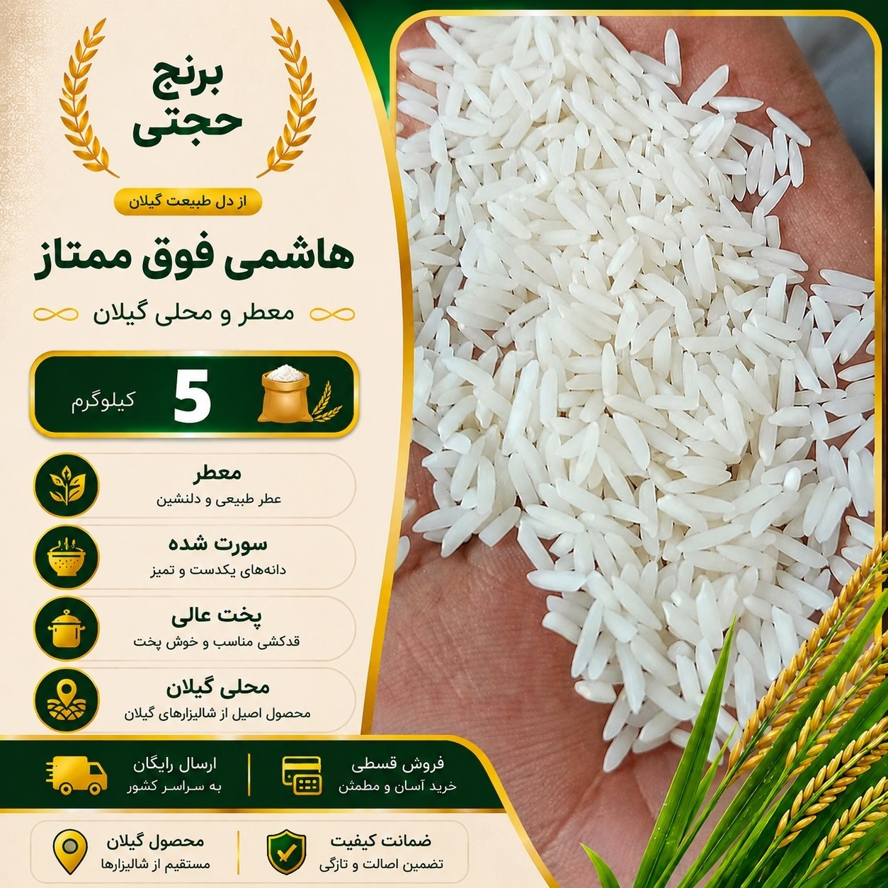 برنج هاشمی امسالی 5 کیلو ارسال رایگان