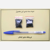 بذر تره فرنگی (100 عدد)